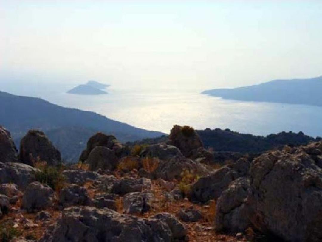 Sarıbelen