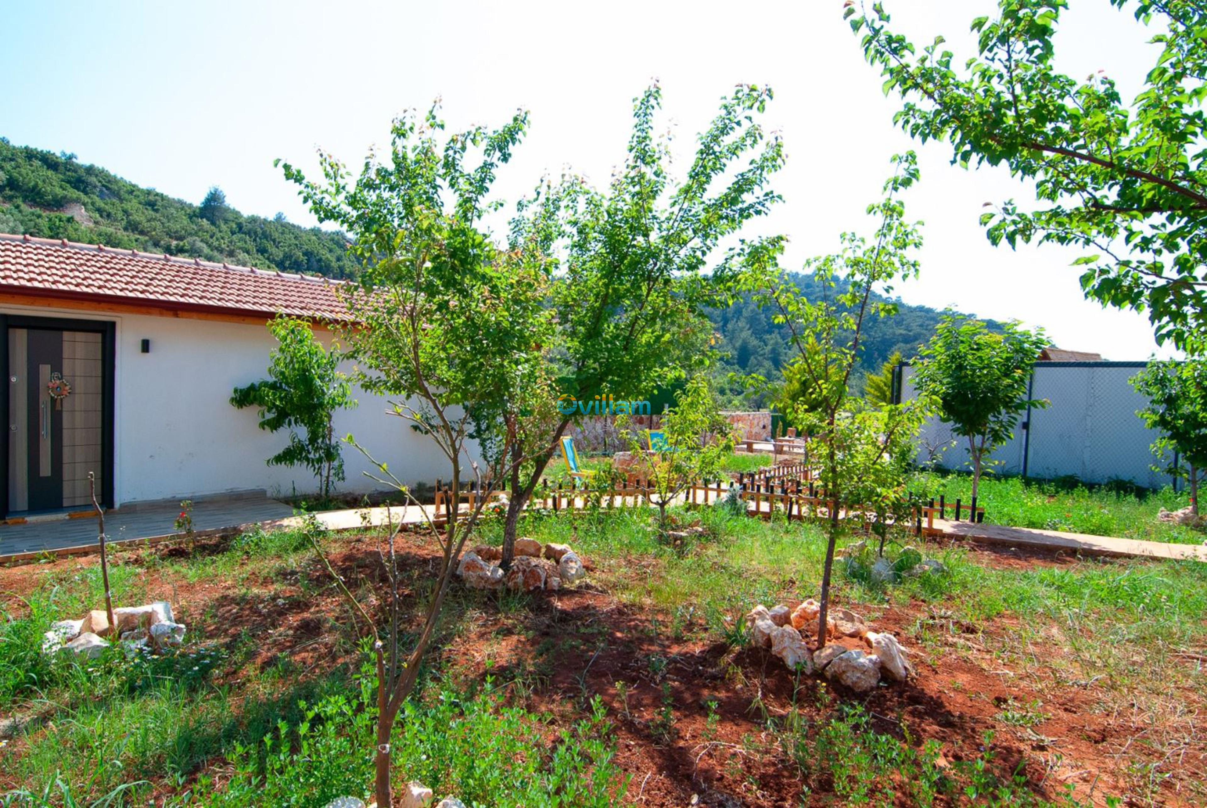 villa-nammus-10_826.jpg