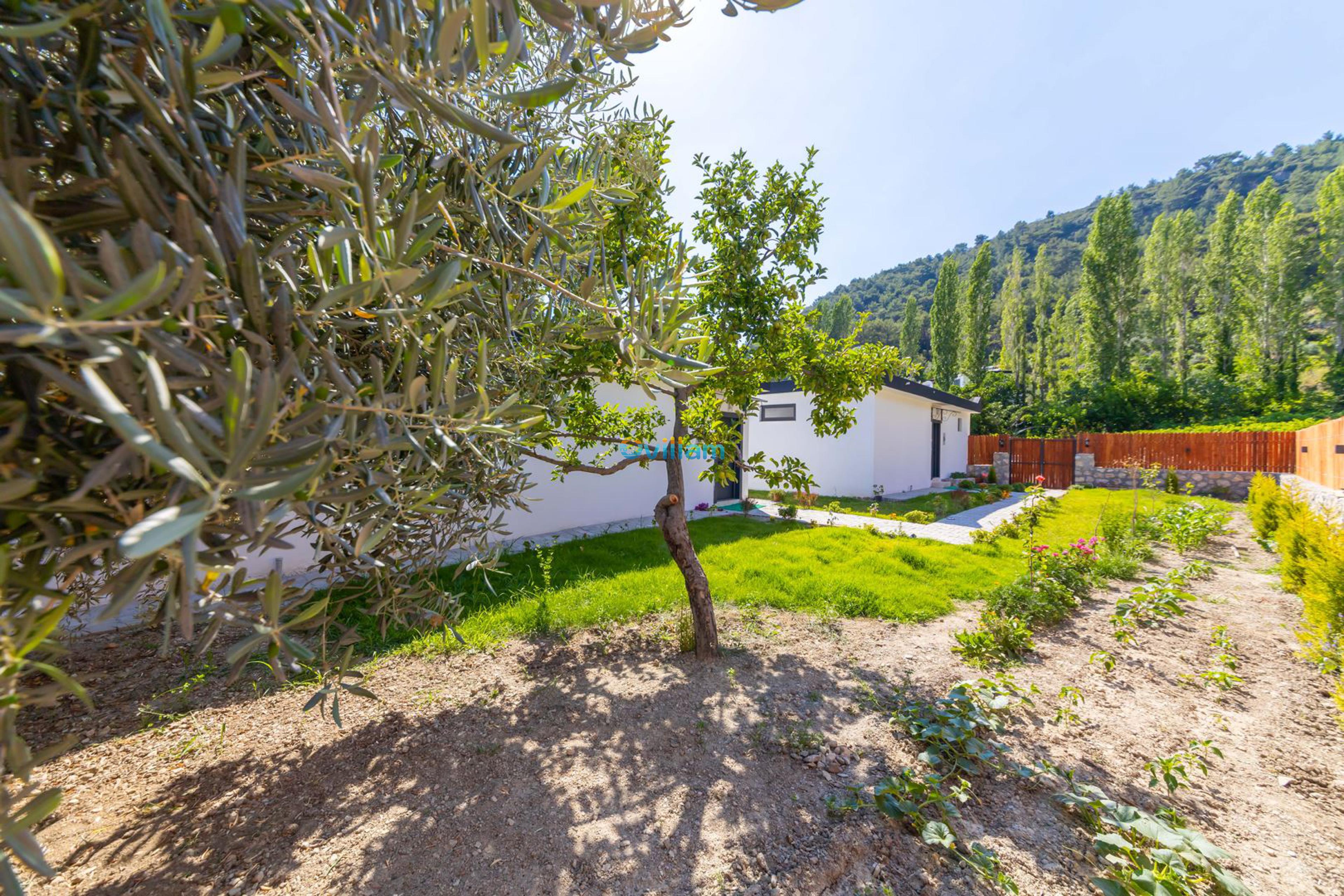 villa-ayaz-1-10_671.jpg