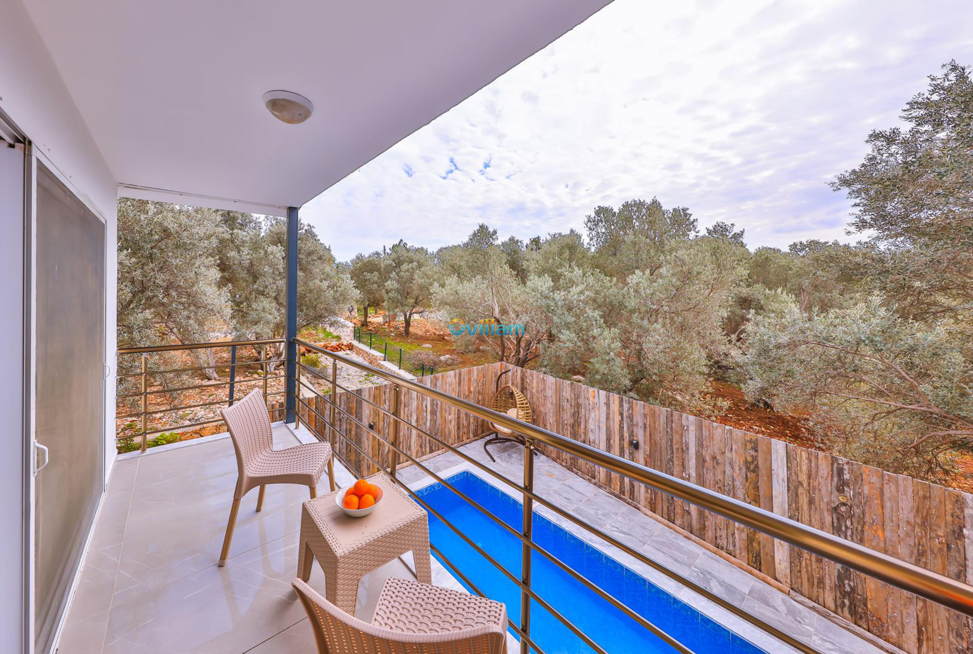 villa-doga-7_716.jpg