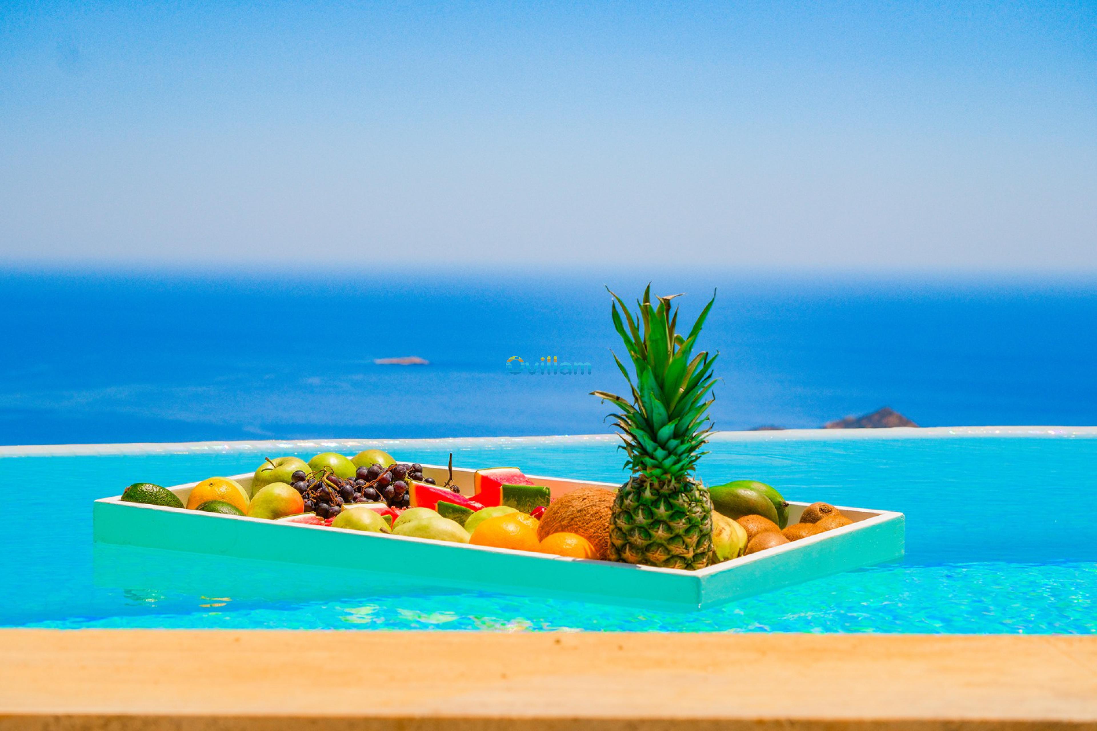 Ovillam-Villa-Hill-Pal3_906.jpg