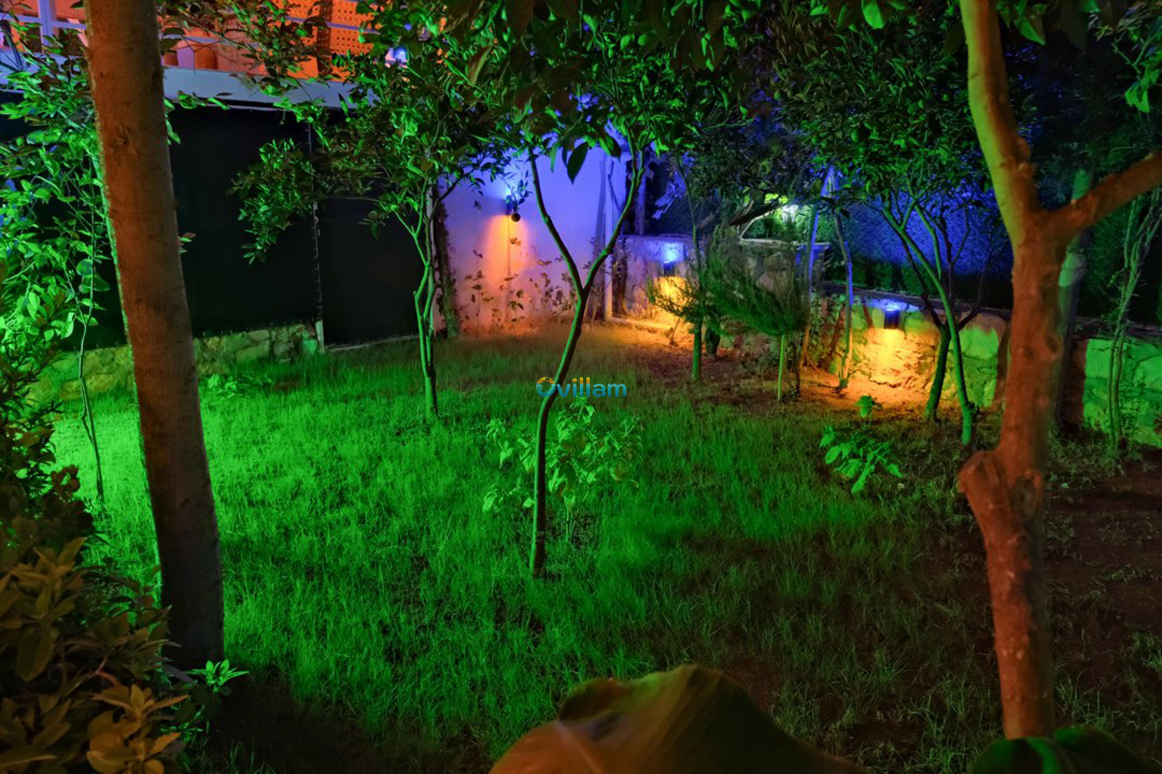 DSCF6012_170.jpg