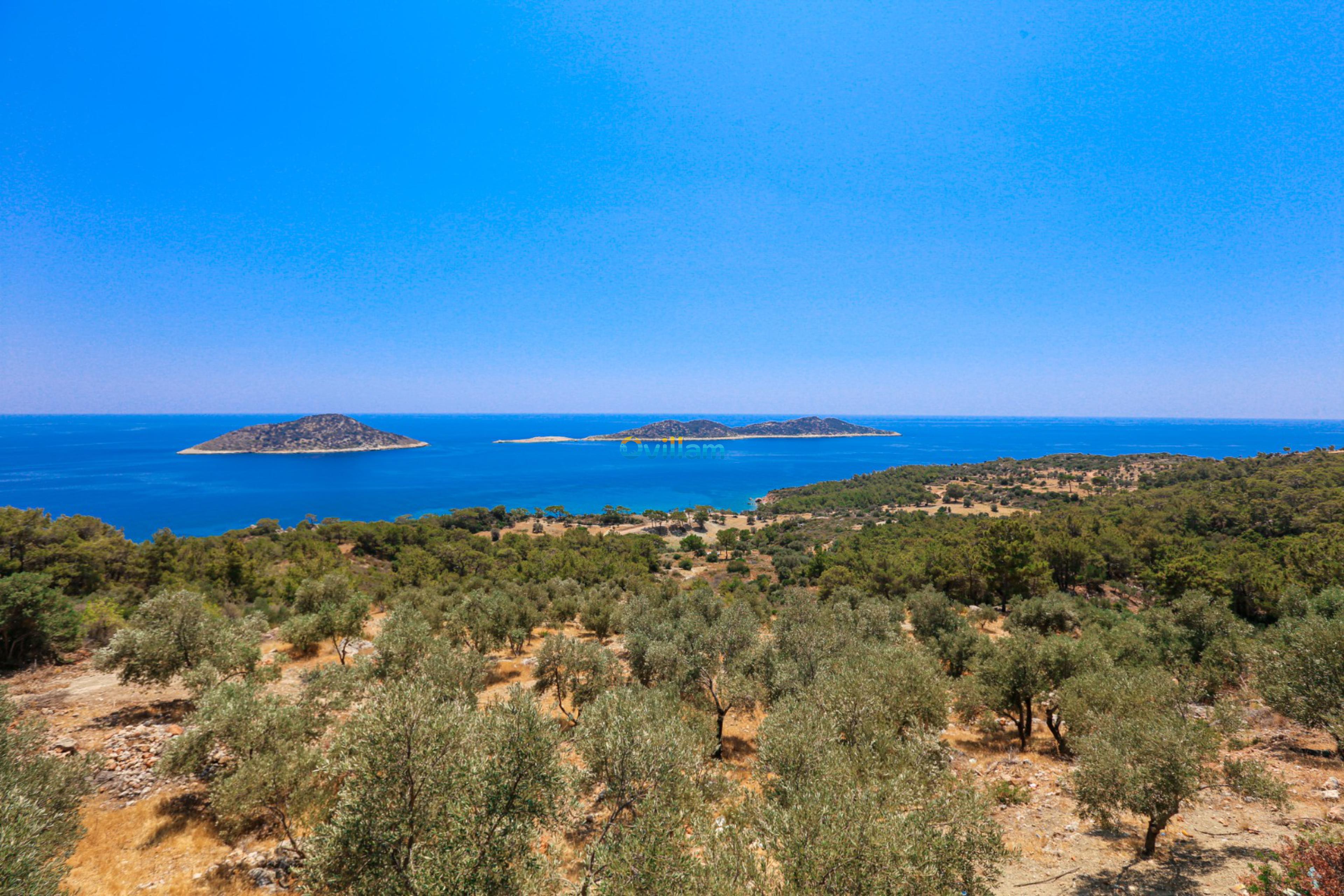 Ovillam_Villa_Gerenlik_2-21_183.jpg