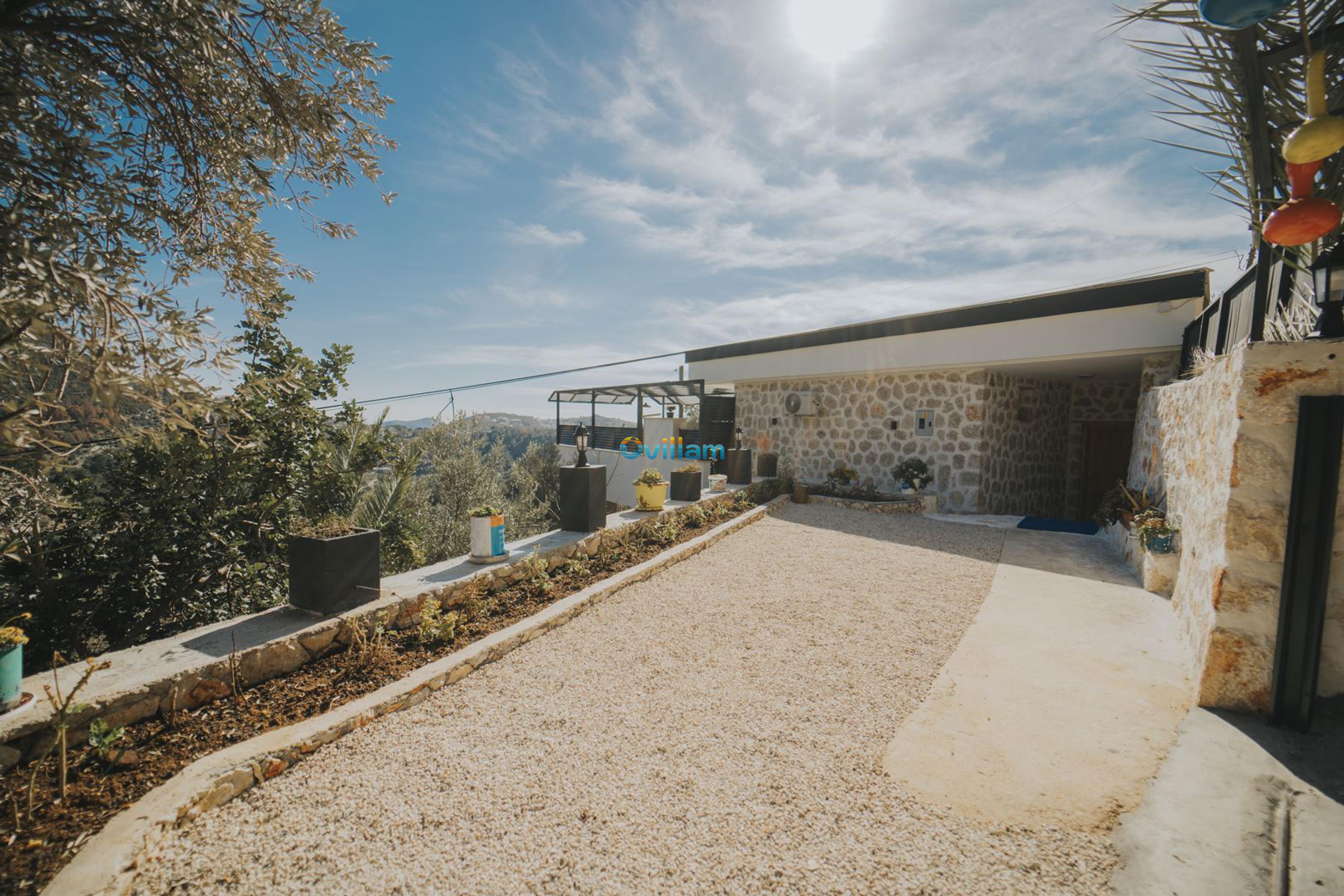 villa-oliva-4_747.jpg