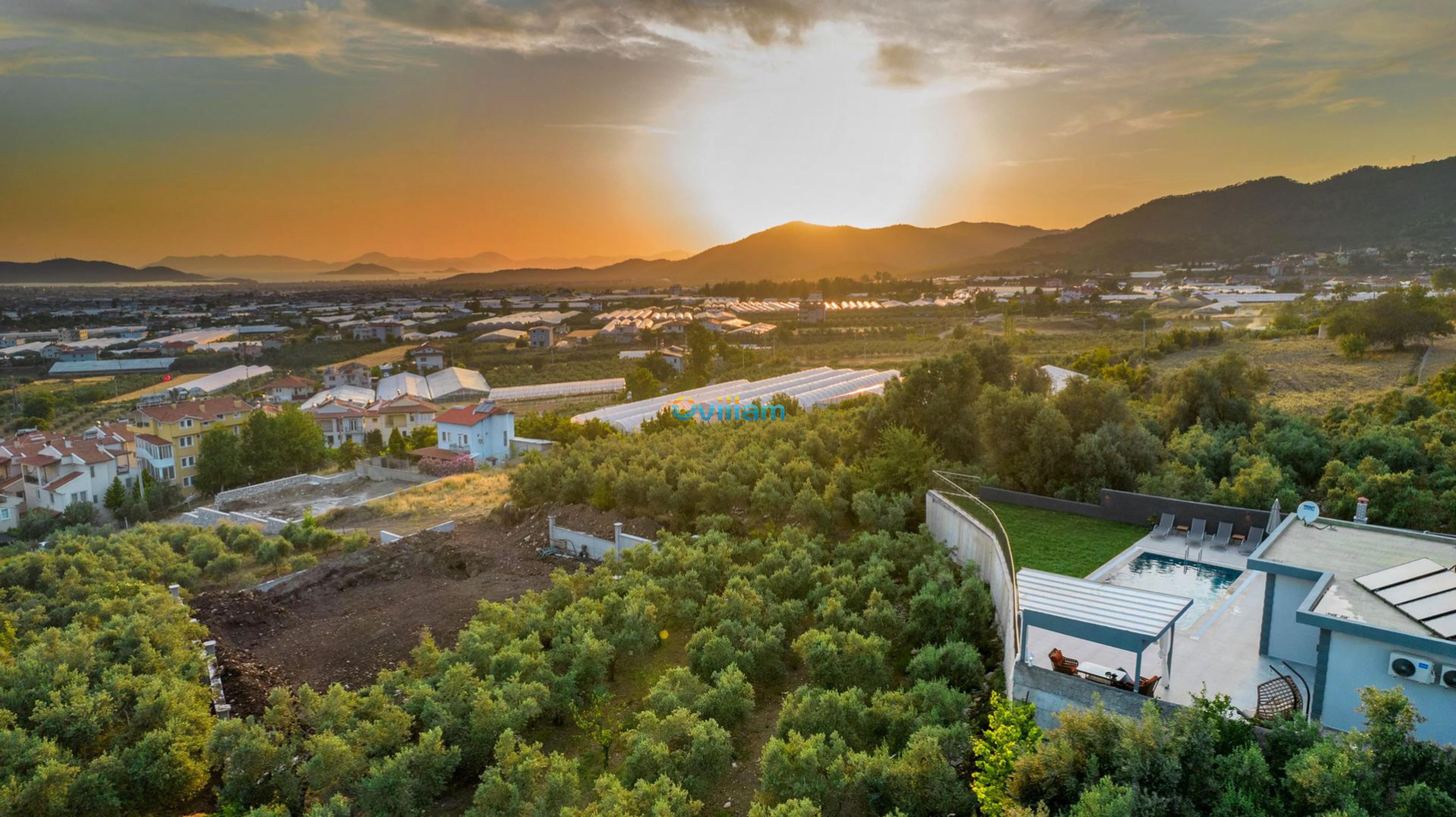 villa-issa-2_289.jpg