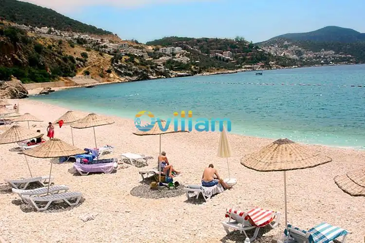 Kalkan / Kalamar