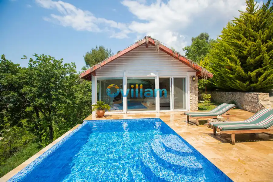 Villa Salkım Evi-0